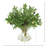 Olive Branches Arranged in a Glass Vase