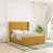 Turmeric Yellow