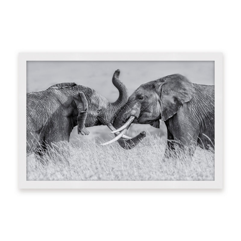 Nature Inspired Elephant Tai Chi by  - Picture Frame Photograph on Paper, 16" H x 24" W x 1.125" D, Black