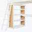 Lit moderne avec échelle, tablettes et bureau