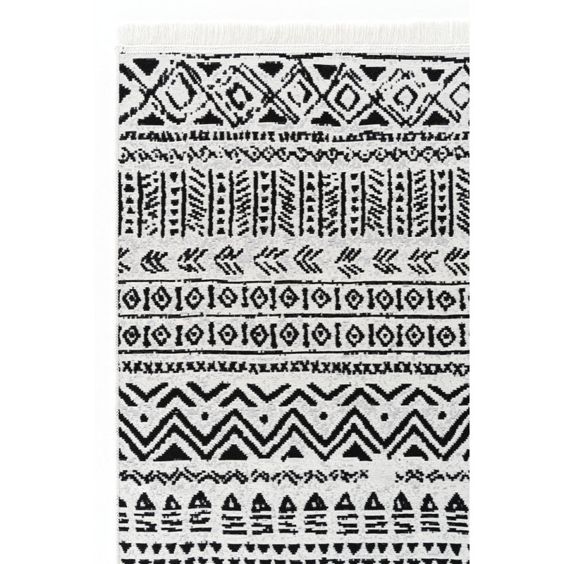 Adallyn Cotton Machine Made Indoor / Outdoor Area Rug, Rectangle 2'7" x 4'11"
