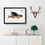 A Flying-Fish by M.E. Bloch - Single Picture Frame Painting-55457321-55457323