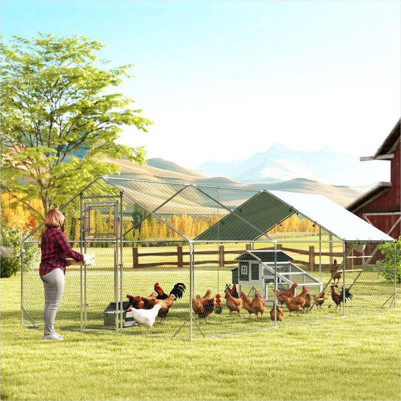 Parc à poulets de 194 pieds carrés avec cadre en acier galvanisé et revêtement argenté doux résistant aux rayons UV