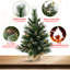 Arbre de Noël illuminé 2 pi