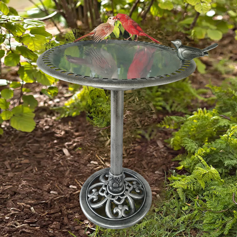 Bain d'oiseaux Aderes, Argent