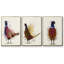 Pheasant Splash 3 3 pièces-106064818-106064823