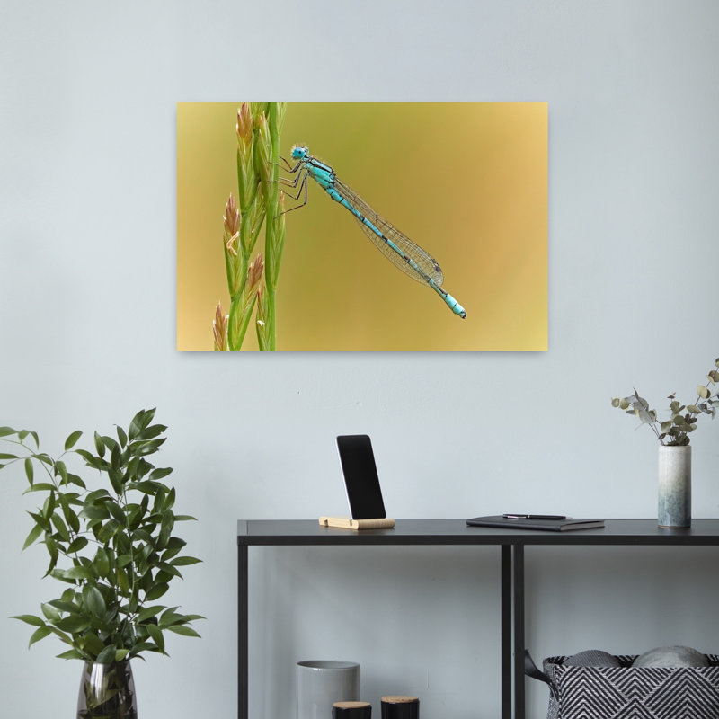 Blue Damselfly On Grass Delicate Serene Tranquil Animal Nature Wall Art Print by Stuart Williams - Print
