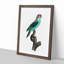 A Musk Lorikeet by F. Levaillant - Framed Print-55453403-55453404