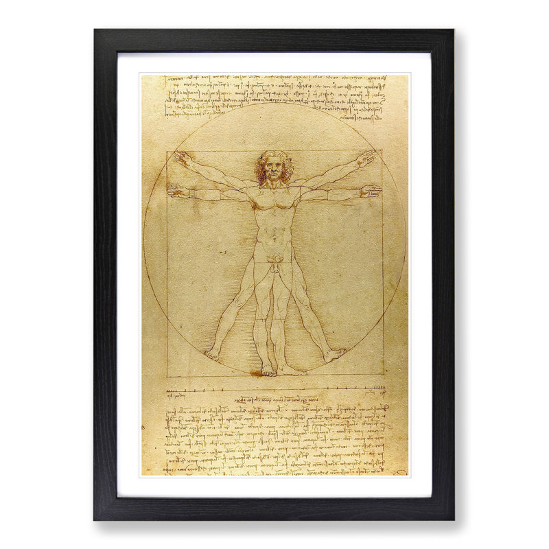 Vitruvian Man Vol.1 by Leonardo Da Vinci - Picture Frame Painting, 36cm H x 27cm W x 2cm D, Black