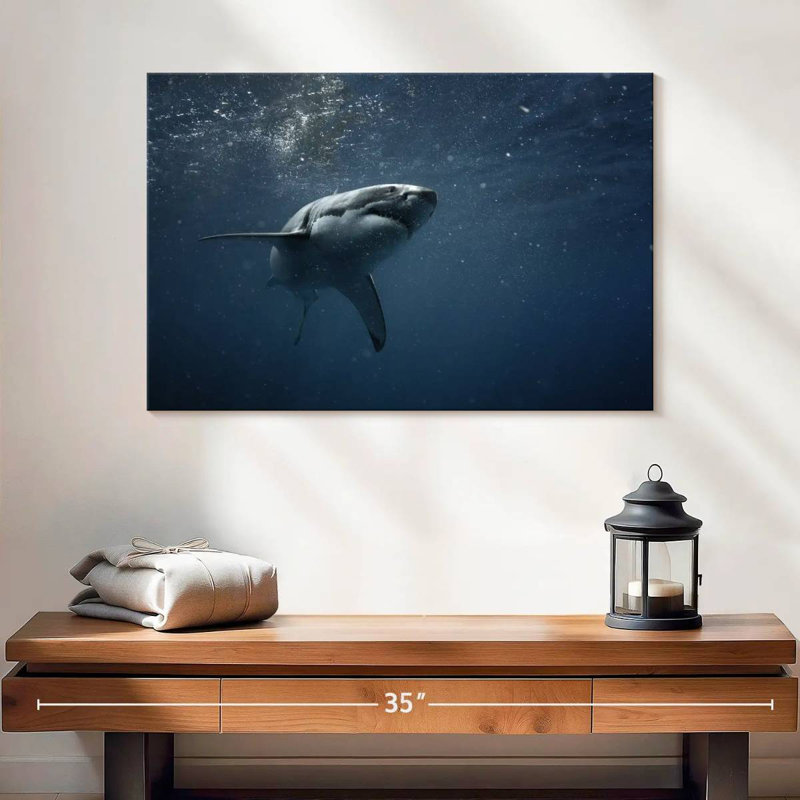 Brampt Great White Shark, 16" H x 24" W