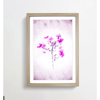 Hydrangeas in Abstract - Framed Print