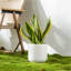 HDHPOT Ceramic Pot Planter