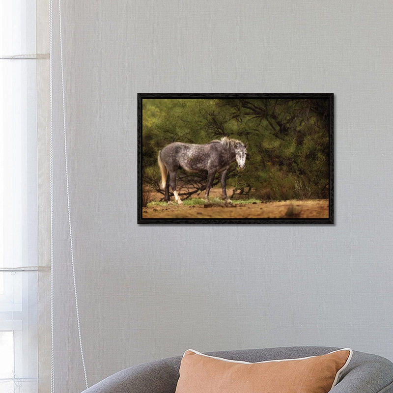 Dapple Grey Arizona Wild Horse 1 Piece Wall Art on Canvas, 66.04 cm H x 45.72 cm W, Black Framed