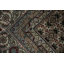 Tapis traditionnel Timeless Elegance 8 x 12 pour maisons classiques