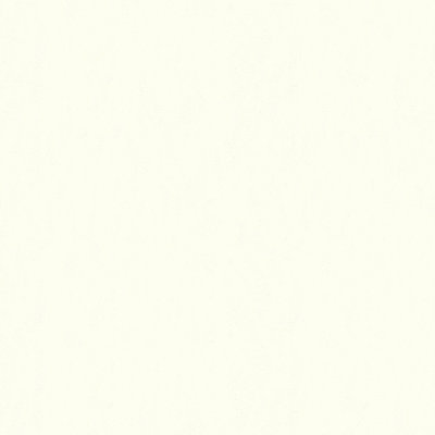 Carmine Polyester Fabric