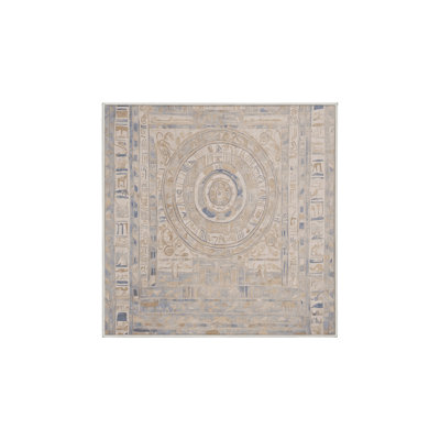 Tapis beige soyeux et moelleux