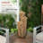 Alitha Outdoor Weather Resistant Floor Fountain with Light-1127556069