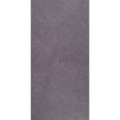 Artistic Freedom 12"X24" Porcelain Stone Look