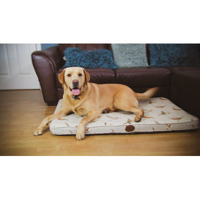 Bennett Orthopedic Pet Bed