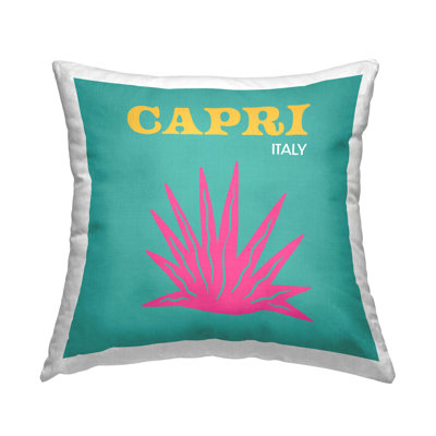 Throw Pillow