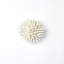 Urchin-White-Sm-1447989751