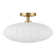1-Light Ceiling Light