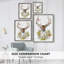 «Holiday Deer Collection B», reproduction encadrée - bois massif-525575598