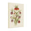 Arrangement floral de plantes et de fleurs avec fritillaria et lis-576975722