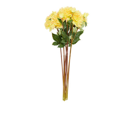 Dahlia Floral Stems