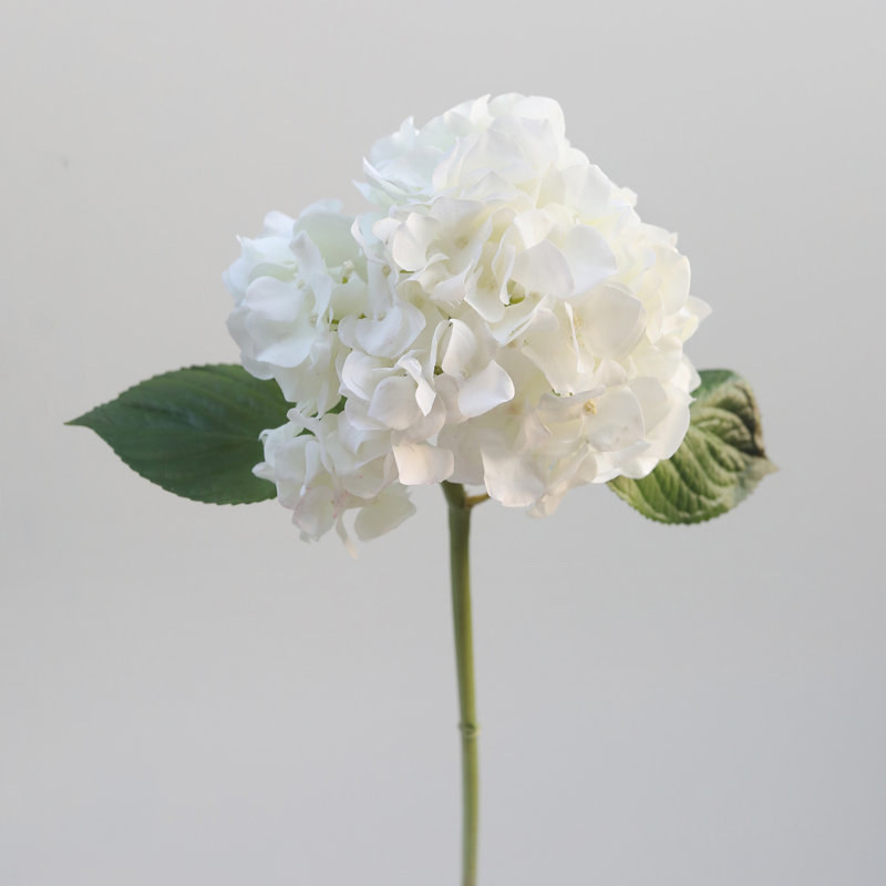 Hortensia blanc 18 po Real Touch, Blanc, 18" H x 8" W