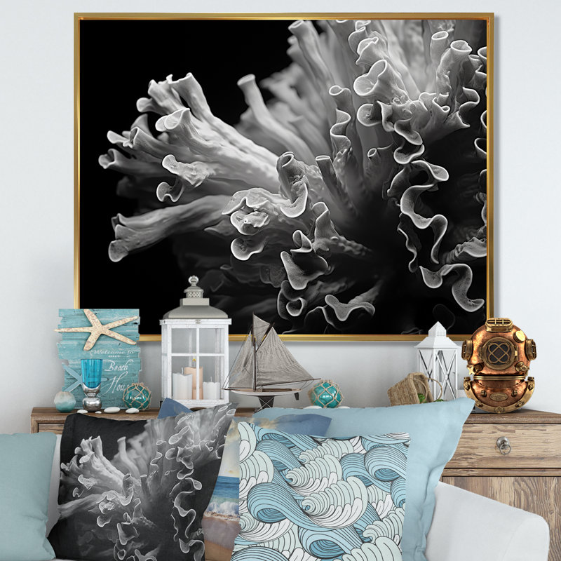 «Anemoner» en noir et blanc, photo III sur toile, H 34 po x l 44 po x P 1,5 po, Cadre flottant doré