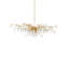 Aviva Stanoff 8 - Light Chandelier
