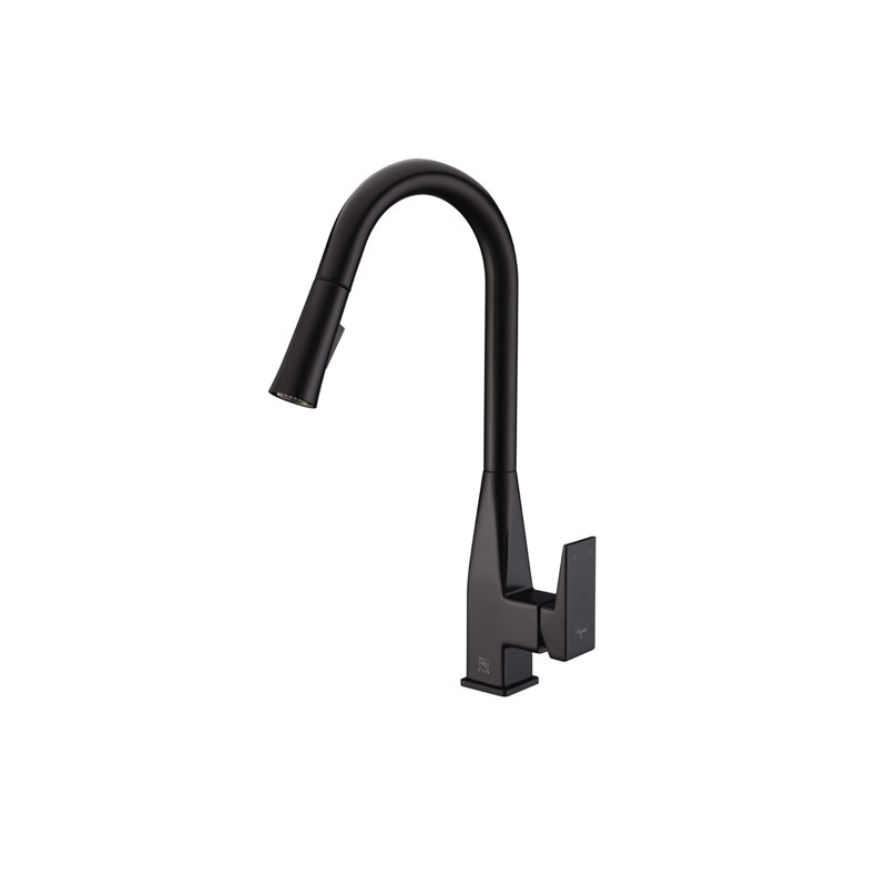 AGUA CANADA Mica Pull Out Kitchen Faucet