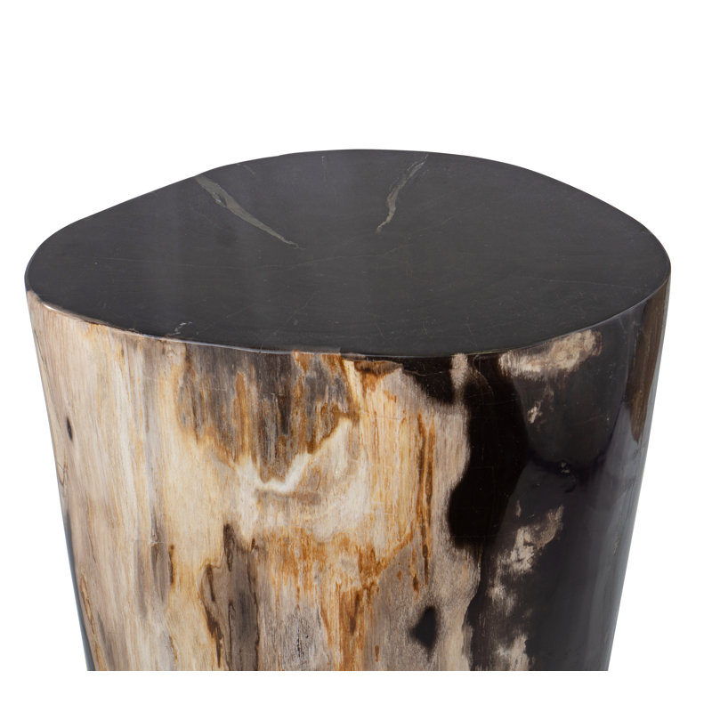 Fossil Relics End Table