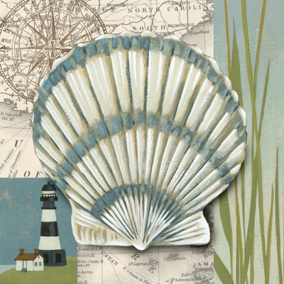 Seaside Shell II - Wrapped Canvas Print