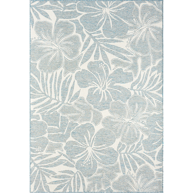 Tapis intérieur / extérieur bleu Abani OCE130A, 4' x 6'