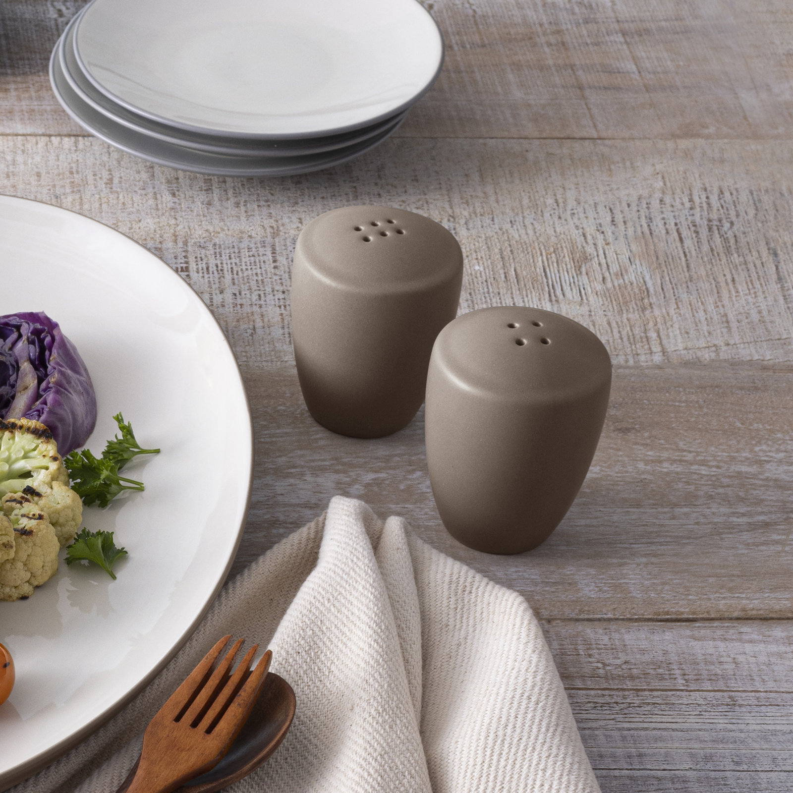 Noritake Colorwave Salt and Pepper Shaker Set, Clay