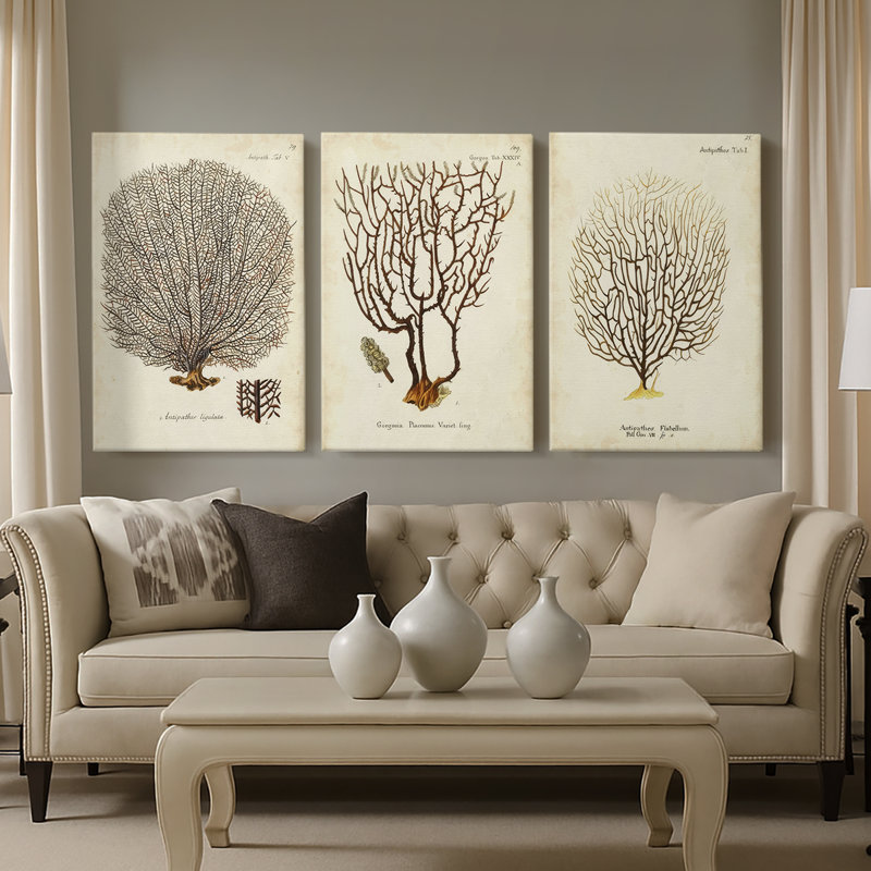 Esper Sea Fans I - Toile tendue avec châssis sur mesure - 3 pièces, H 12 po x l 24 po