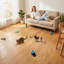 Cat Toys