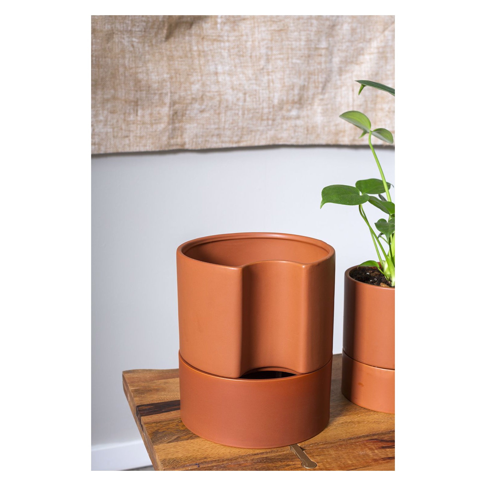 Patti Handmade Ceramic Pot Planter, 9" H x 8" W x 8" D, Terracotta