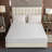 Damond Hypoallergenic Waterproof Bed Bug Resistant Fitted Mattress Protector Mattress Protector Case Pack-1434554596