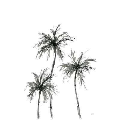 «Shadow Palms I» par Chris Paschke - reproduction