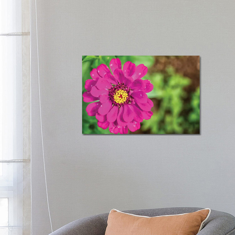 Pink Dahlia Flower by Glauco Meneghelli - Wrapped Canvas Print, 66.04 cm H x 45.72 cm W
