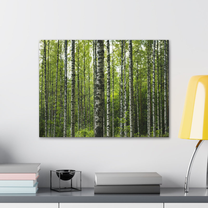 No Frame Print on Canvas, 45.72cm H x 60.96cm W