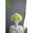  Greek Style Cement Head Planter, Indoor Outdoor Home Garden Decor