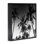 Giclée encadrée Palm Sunset Stark Contrast, design par Danita Delimont