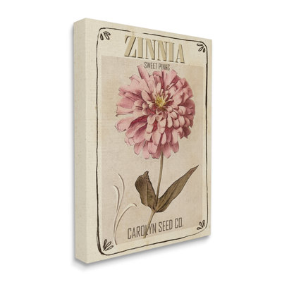 " Sweet Pink Zinnia Florals Vintage Seed Packet " by Studio W