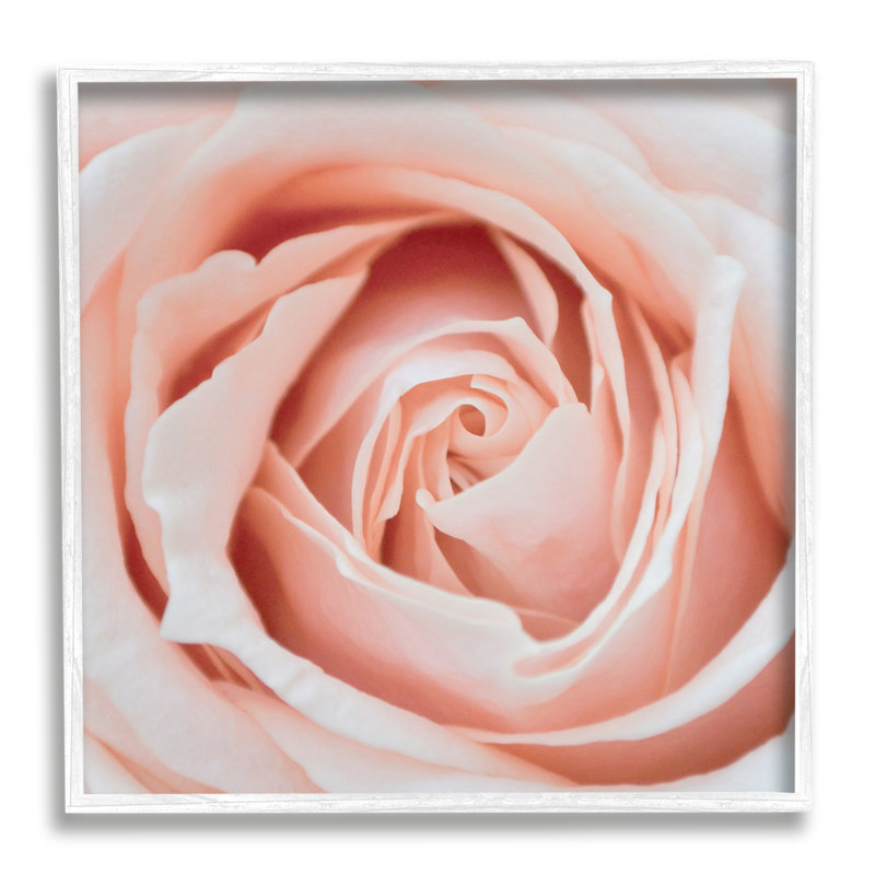12" x 12" White Framed Pink Rose Canvas Print