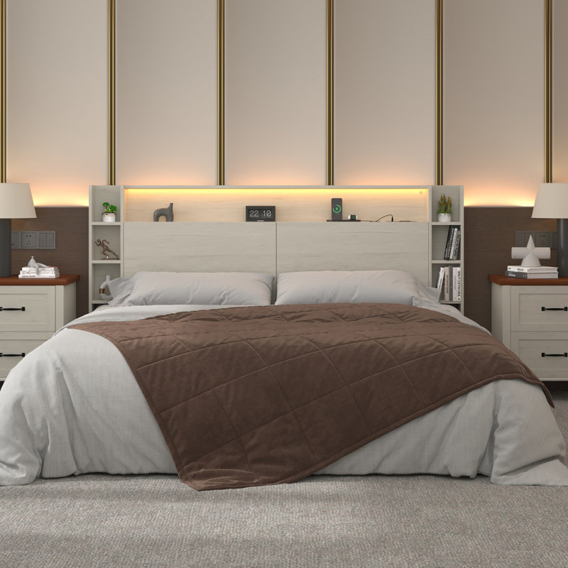 Queen Size Headboard with Storage, LED RGB Lights, USB and AC Charging Ports, Bookcase Shelves, Hidden Storage, Baseboard Groove Design