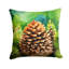 Coussin Maine-114457389